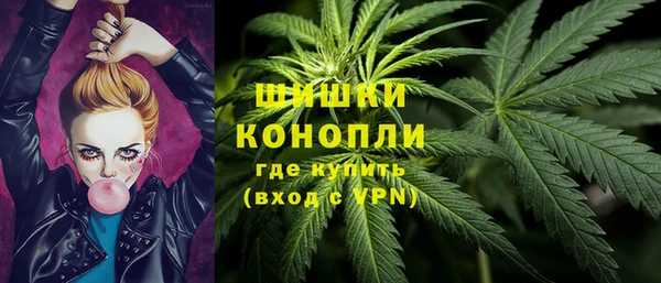 марки lsd Белокуриха